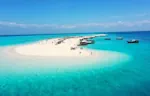 blue_safari